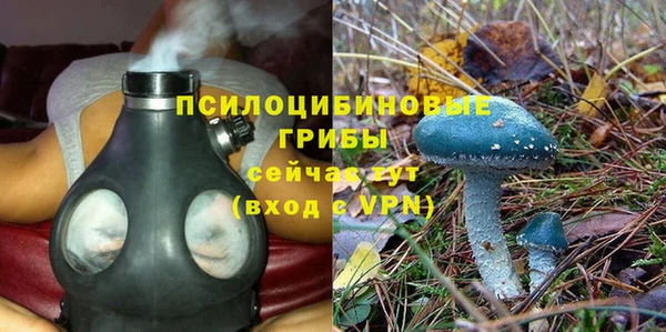 эйфоретик Бородино