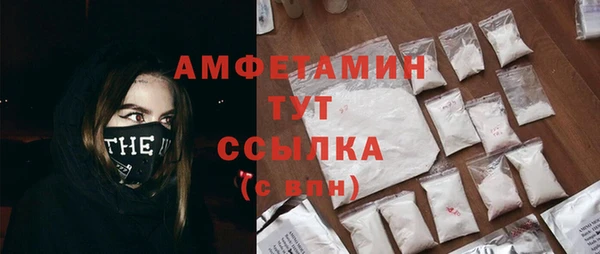 эйфоретик Бородино