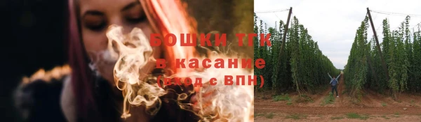 эйфоретик Бородино