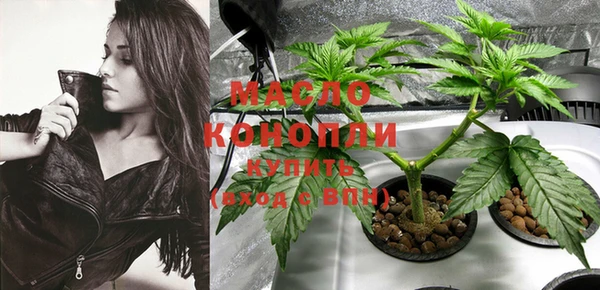 эйфоретик Бородино