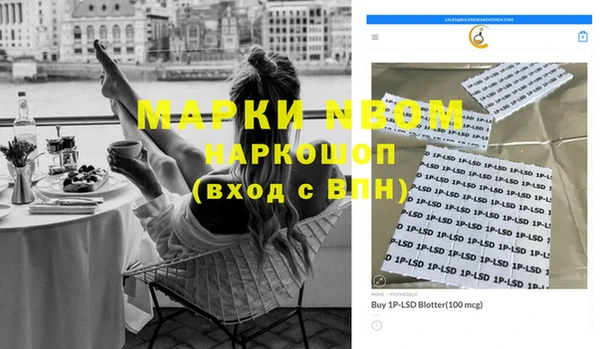 эйфоретик Бородино