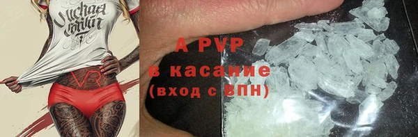 эйфоретик Бородино